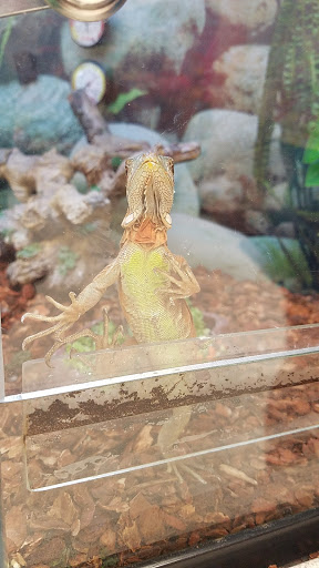 Pet Supply Store «Petco Animal Supplies», reviews and photos, 7721 Mentor Ave, Mentor, OH 44060, USA