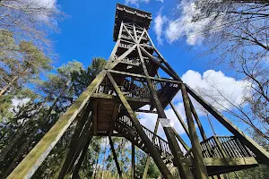 Lookout tower Hahnheide "Langer Otto" image