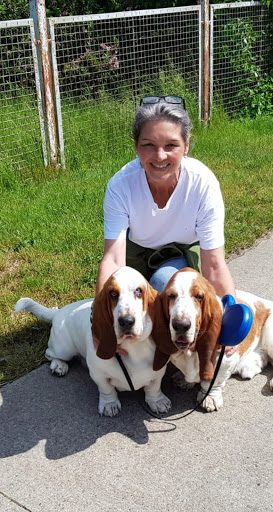 Dr. med. vet. Regina Bechstein-Walther Tierarztpraxis unter Friedberg, 