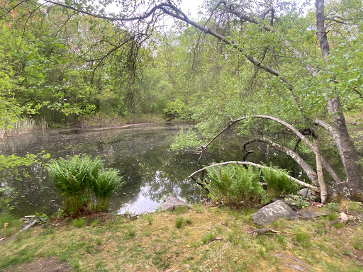 History Museum «Eustis Estate Museum and Study Center», reviews and photos, 1424 Canton Ave, Milton, MA 02186, USA