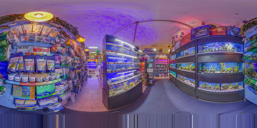 Pet Store «Discount Pets & Supplies», reviews and photos, 211 Hancock Bridge Pkwy, Cape Coral, FL 33990, USA