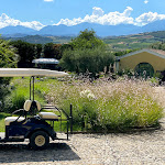 Photo n°9 de l'avis de Ele.e fait le 17/07/2020 à 15:38 sur le  Serragiumenta Castle à Altomonte