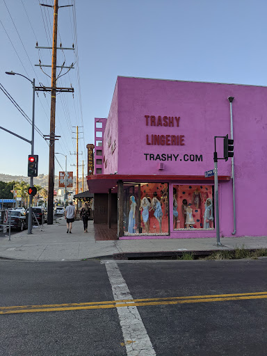 Lingerie Store «Trashy Lingerie», reviews and photos, 402 La Cienega Blvd, Los Angeles, CA 90048, USA