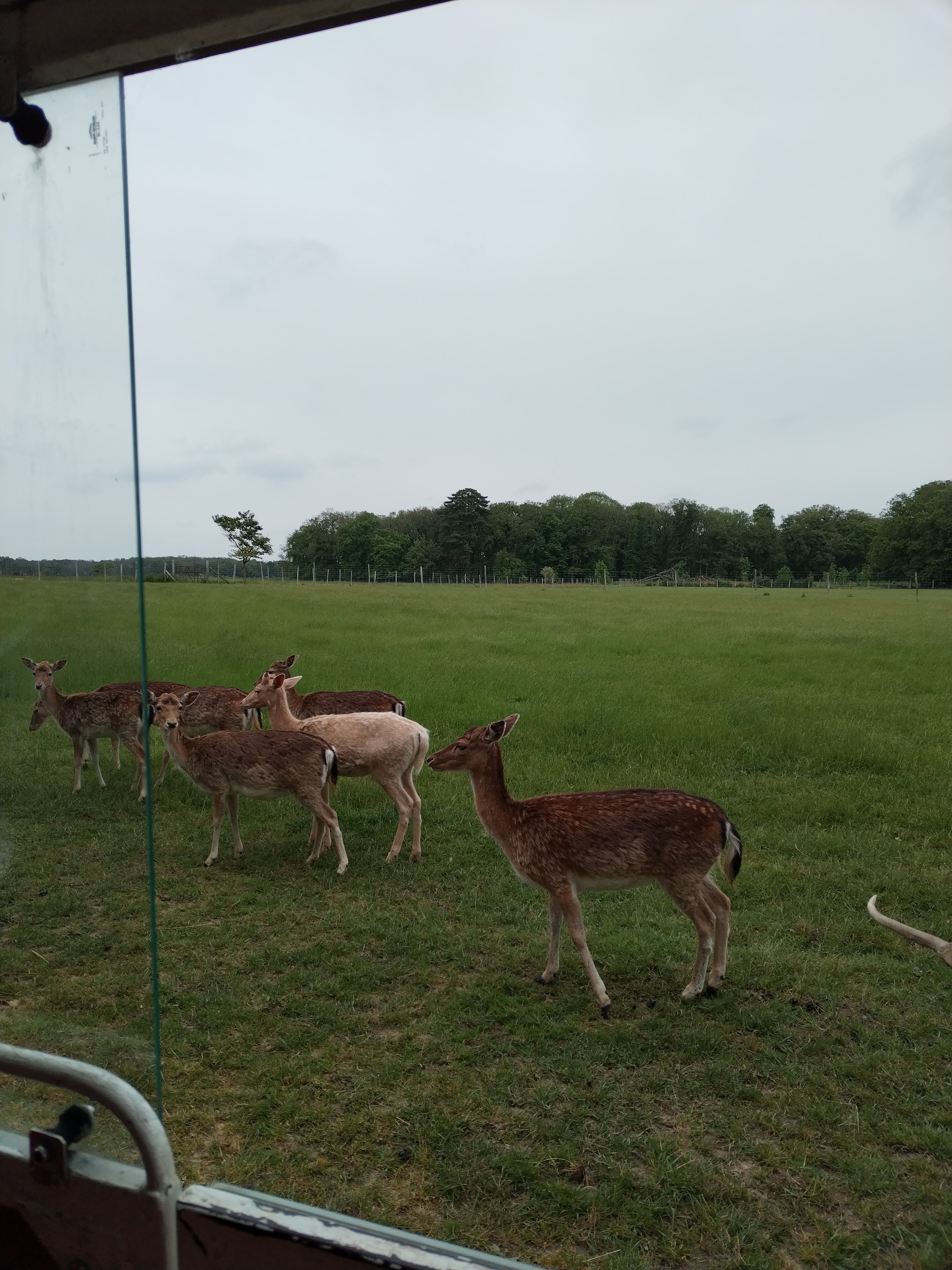 Photo n° 3 de l'avis de Raphaël.e fait le 16/05/2023 à 16:57