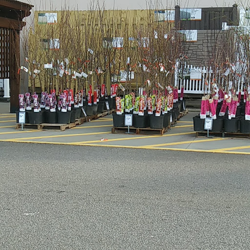 Home Improvement Store «The Home Depot», reviews and photos, 2150 W Spring St, Monroe, GA 30655, USA