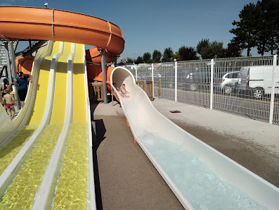 Imagen de la galería