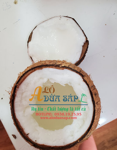 Top 5 cửa hàng abby Thành phố Trà Vinh Trà Vinh 2022