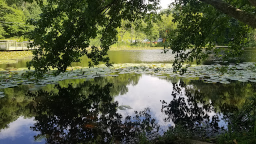 Park «Ellanor C. Lawrence Park», reviews and photos, 5040 Walney Rd, Chantilly, VA 20151, USA