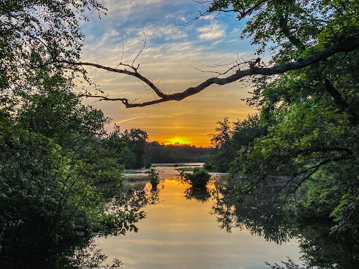 Park «Killens Pond State Park», reviews and photos, 5025 Killens Pond Rd, Felton, DE 19943, USA