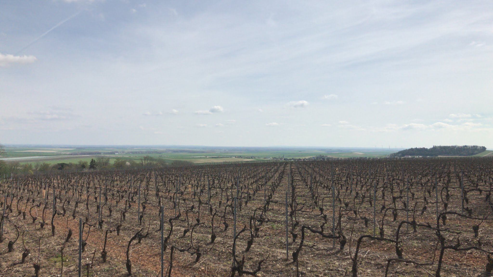 Photo n° 1 de l'avis de Matteo.q fait le 13/06/2019 à 07:40