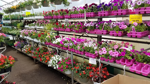 Hardware Store «Ham Lake Hardware Hank», reviews and photos, 17426 MN-65, Ham Lake, MN 55304, USA