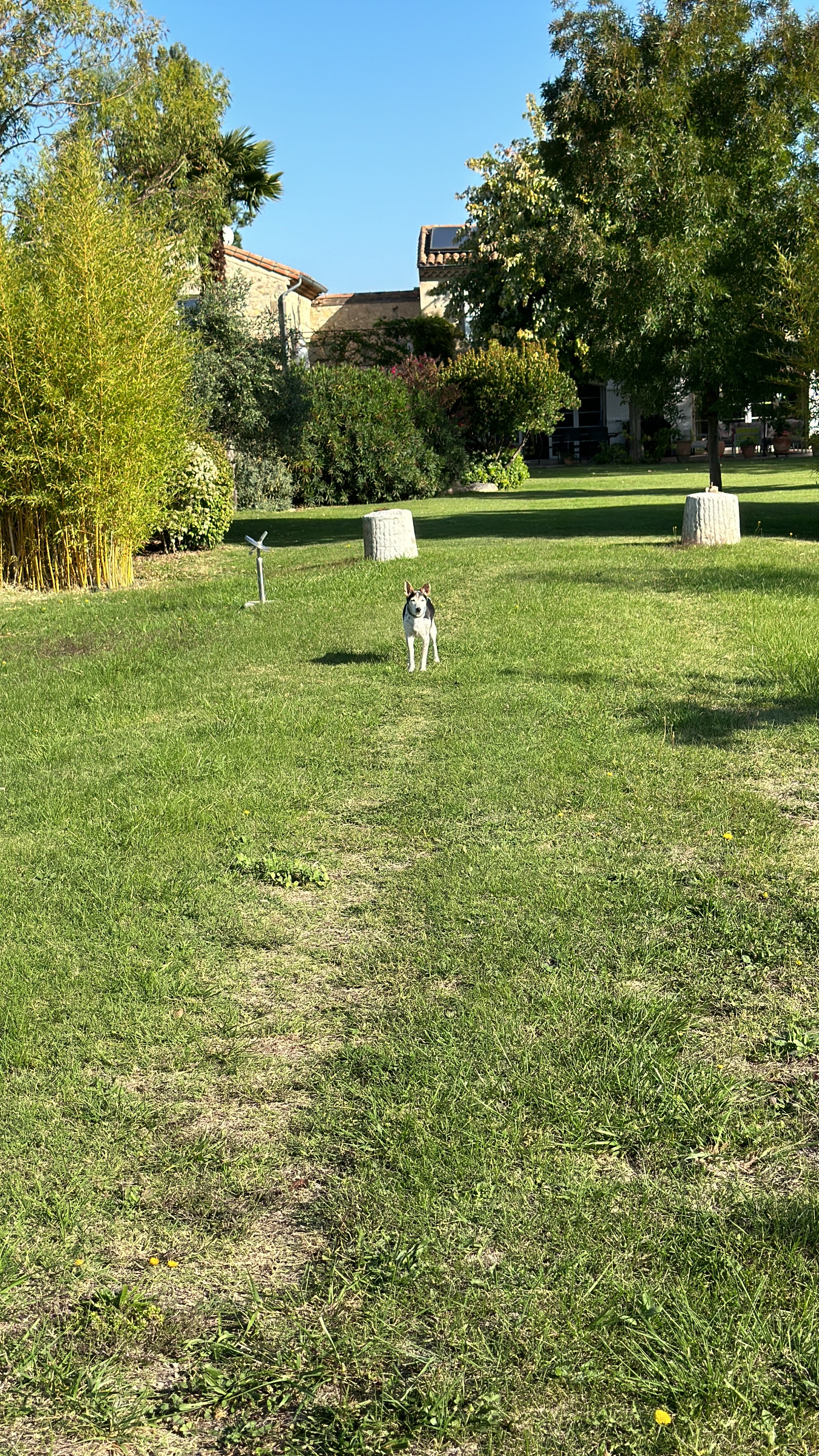 Photo n° 1 de l'avis de Brigitte.A fait le 15/10/2023 à 11:13