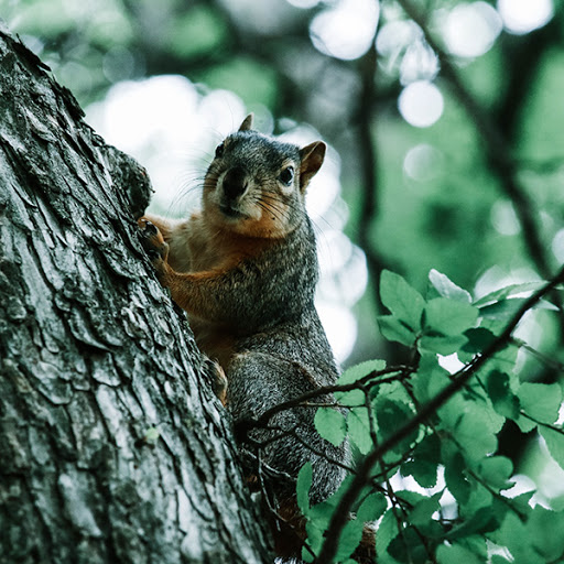 Park «Bear Creek Park», reviews and photos, 400 Bear Creek Park Rd, Keller, TX 76248, USA