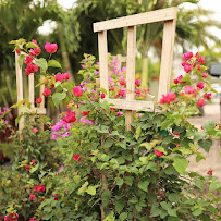 Palm City Nursery & Landscaping - Photo 4 - Car repair in Cape Coral, FL, Cape Coral