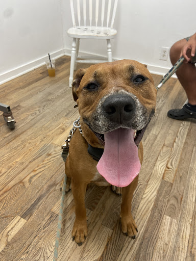 2505 Old Moultrie Rd, St Augustine, FL 32086, USA