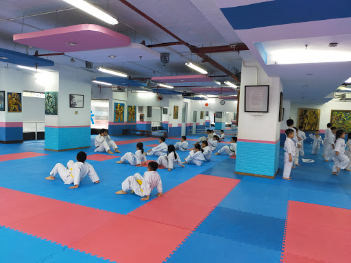 Vietnhatclub Centre Judo-Jiujitsu Trung Hòa Nhân Chính