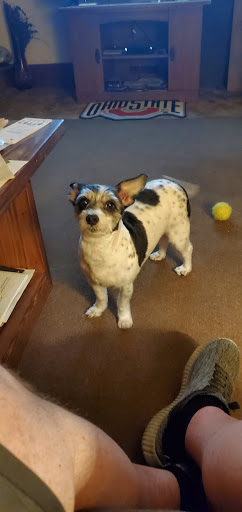 Pet Supply Store «PetSmart», reviews and photos, 5812 Youngstown Warren Rd, Niles, OH 44446, USA