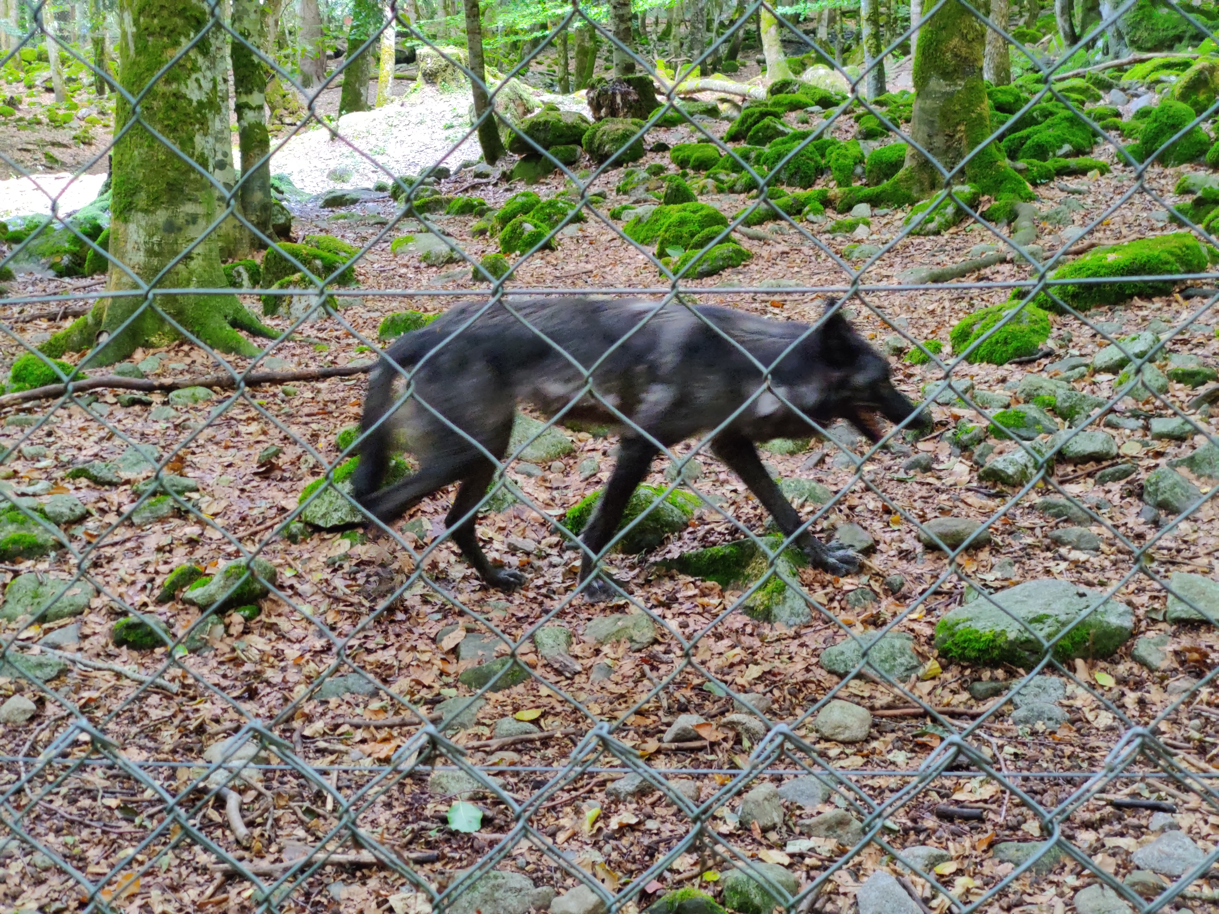 Photo n° 4 de l'avis de Julien.o fait le 14/08/2022 à 13:43