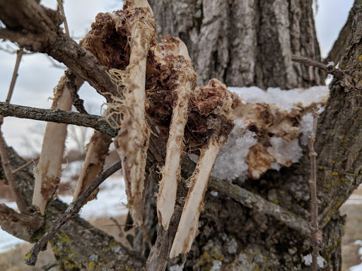 Golf Club «Bunker Hills Golf Club», reviews and photos, 12800 Bunker Prairie Rd NW, Coon Rapids, MN 55448, USA