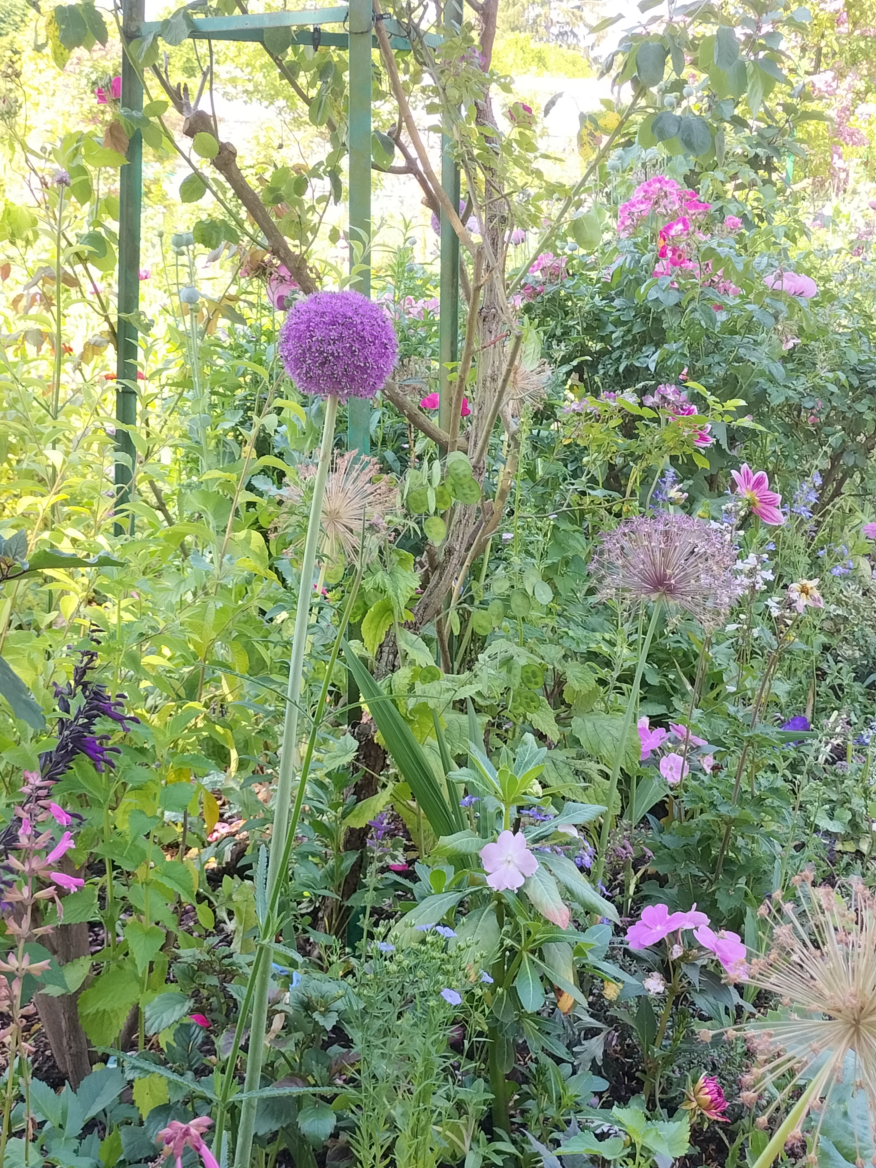 Photo n° 30 de l'avis de didier.e fait le 15/06/2023 à 13:38