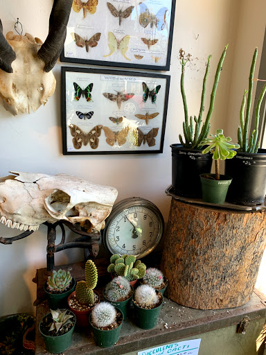 Gift Shop «Natural Selection», reviews and photos, 39 St Lawrence Ave, Reno, NV 89509, USA