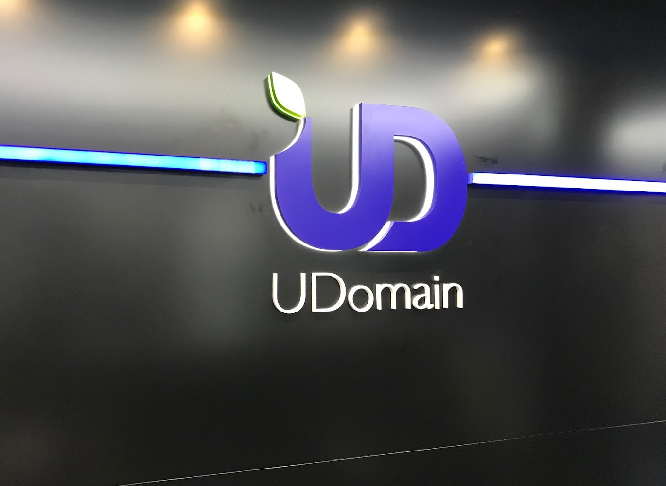 UDomain Web Hosting Co Ltd