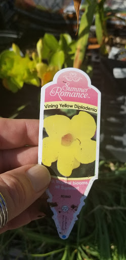 Hardware Store «Johnsons Home & Garden», reviews and photos, 26625 Maple Valley Black Diamond Rd SE, Maple Valley, WA 98038, USA