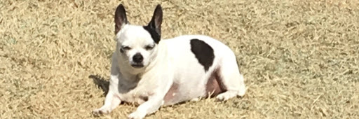 Personal Injury Attorney «Parrish DeVaughn Law Firm», reviews and photos