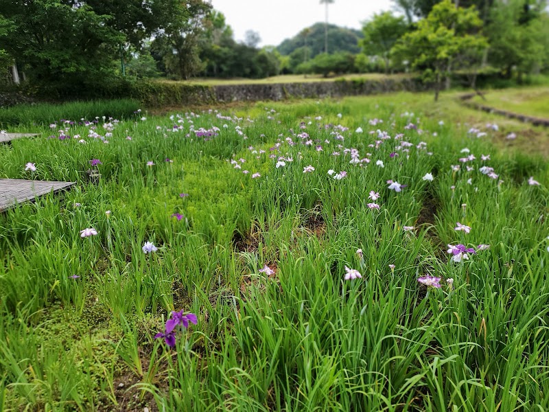 ピクニック公園