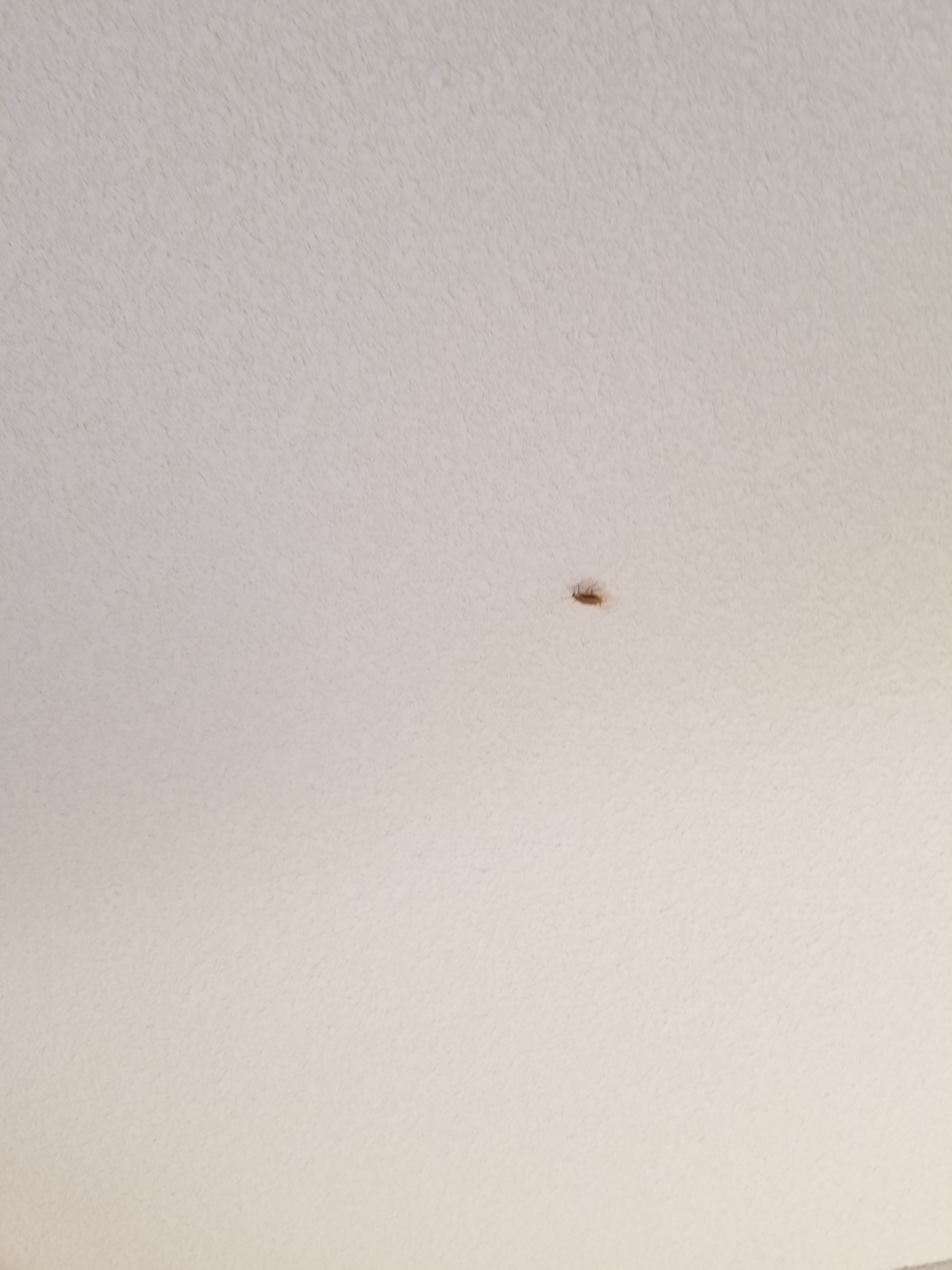Photo n° 1 de l'avis de Dr... fait le 11/06/2018 à 20:00