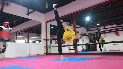 Pekcan Spor Kulübü taekwondo