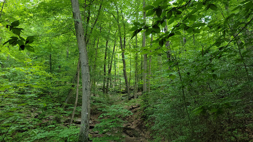 Reeves Meadow Visitor Center image 5