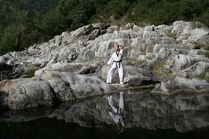 Gimnàs Taekwondo Chunkwon Salt image