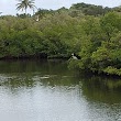 Boat Ramp