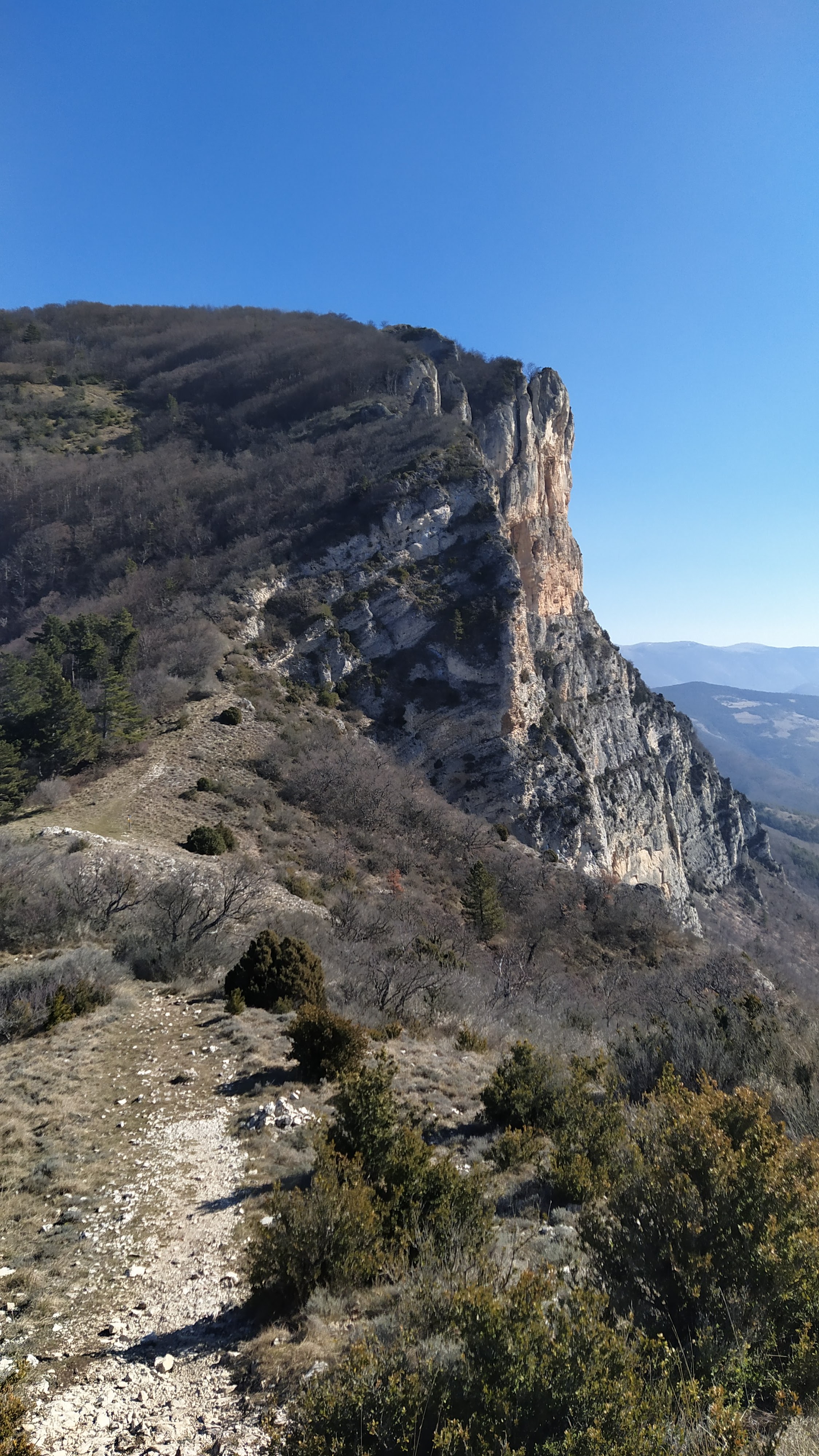 Photo n° 1 de l'avis de Nico.e fait le 13/03/2021 à 16:57