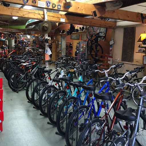 Bicycle Store «Hamilton Bicycles & Outfitters», reviews and photos, 69329 Main St, Richmond, MI 48062, USA