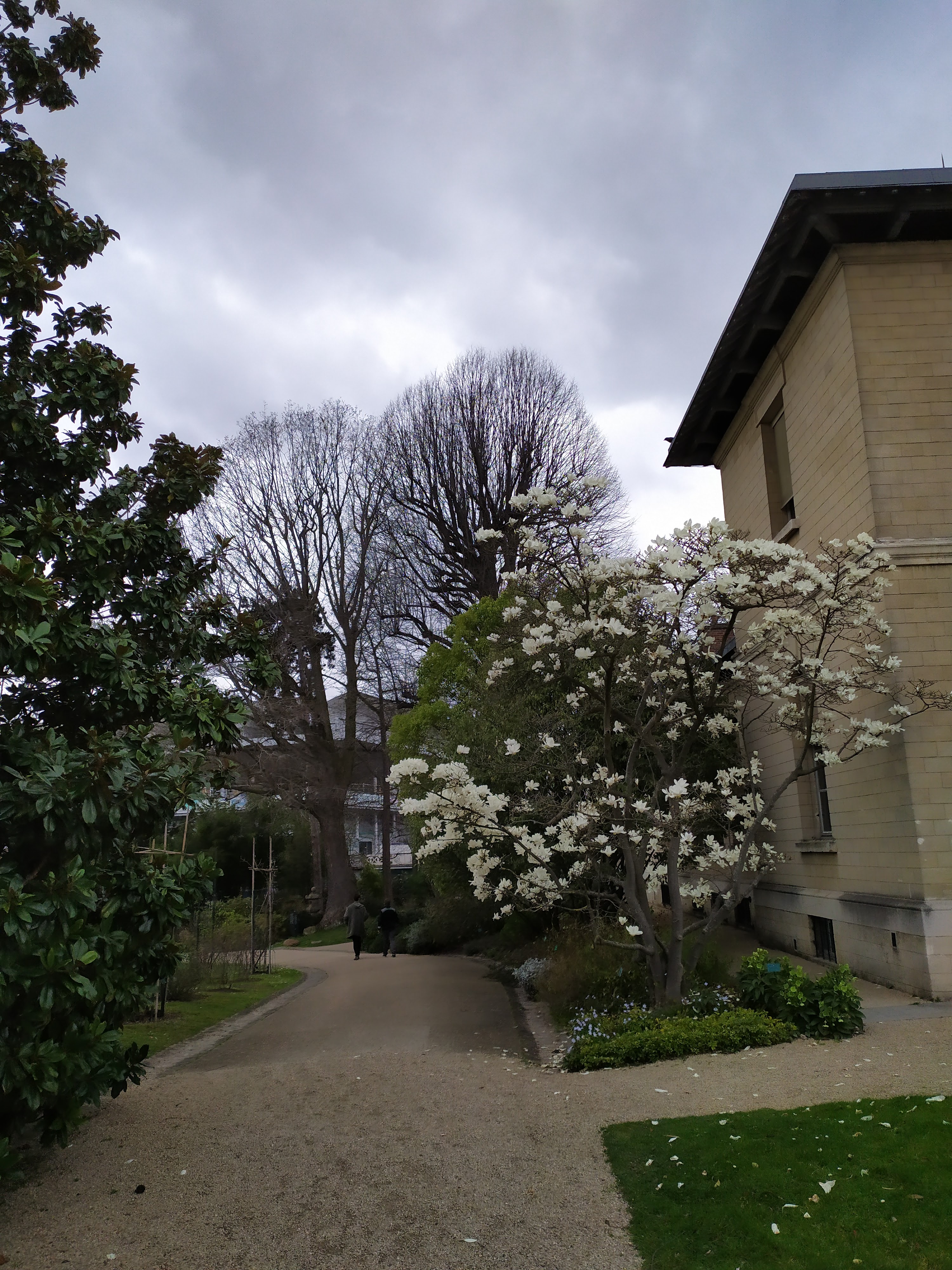 Photo n° 3 de l'avis de Andrejs. fait le 11/03/2020 à 18:34