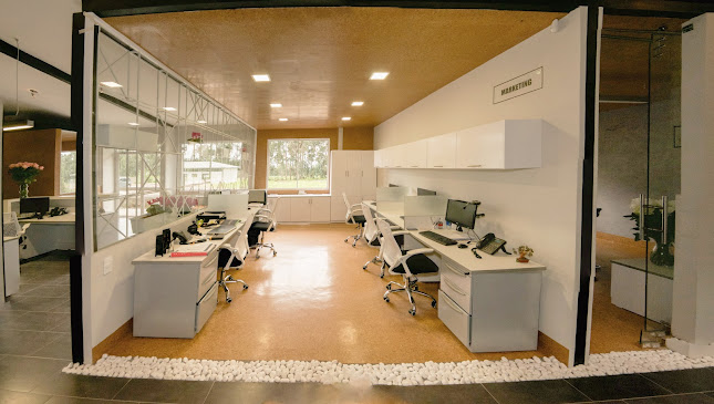 Comentarii opinii despre 4Studio