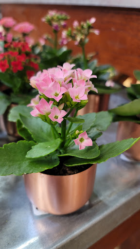 Supermarket «Giant Eagle Supermarket», reviews and photos, 3841 S Hamilton Rd, Groveport, OH 43125, USA