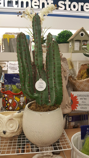 Department Store «Marshalls», reviews and photos, 6814 Parker Farm Dr, Wilmington, NC 28405, USA