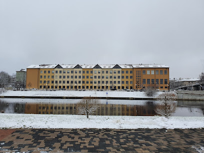 Daugavpils Universitāte, Jelgavas filiāle