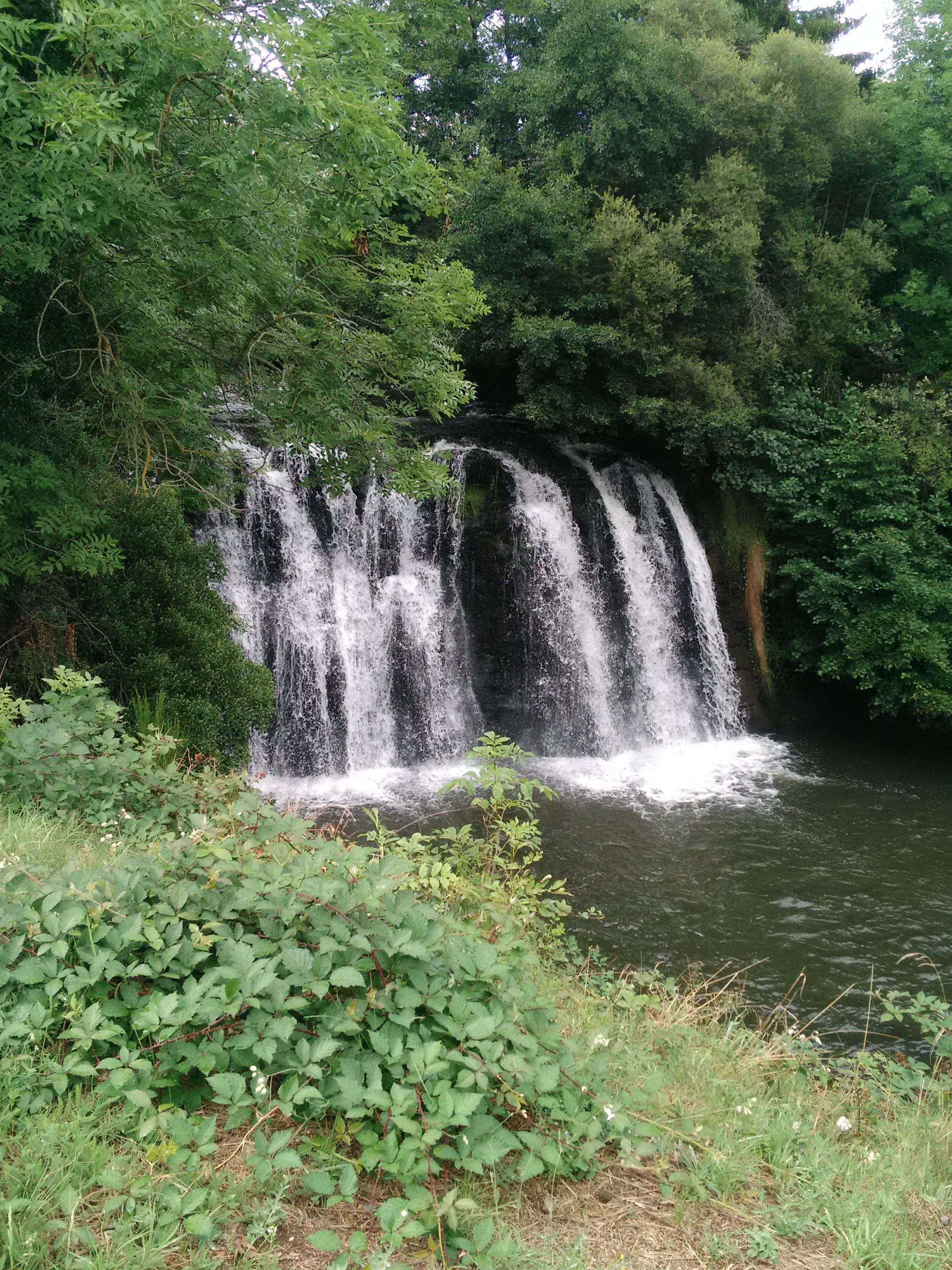 Photo n° 3 de l'avis de Aurore. fait le 20/08/2019 à 19:02