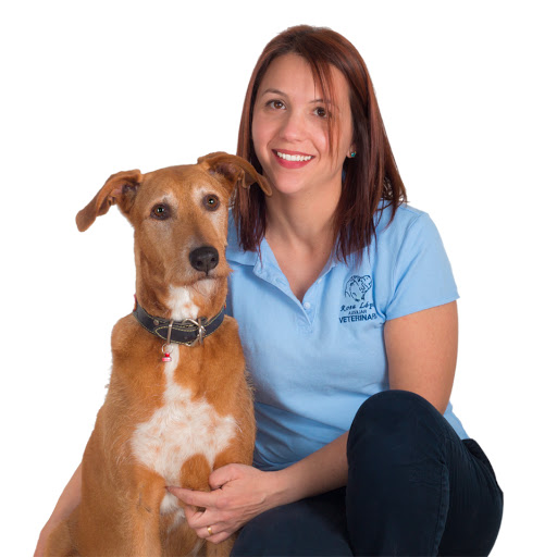 Clínica Veterinaria Bolta en Valencia