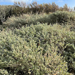 Photo n° 8 de l'avis de Nouredine.I fait le 29/11/2022 à 07:28 pour Talmont-Saint-Hilaire à Talmont-Saint-Hilaire