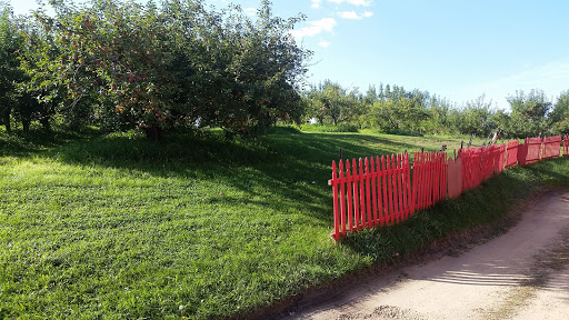 Produce Market «Welsh Heritage Farms», reviews and photos, 20758 528th Ave, Lake Crystal, MN 56055, USA