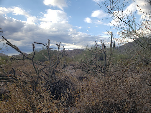 Nature Preserve «Gateway Trailhead - McDowell Sonoran Preserve», reviews and photos, 18333 N Thompson Peak Pkwy, Scottsdale, AZ 85255, USA