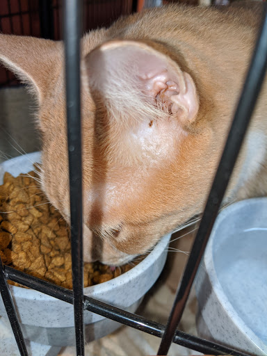 Pet Store «Pet Valu», reviews and photos, 644 E Main St, Waynesboro, PA 17268, USA