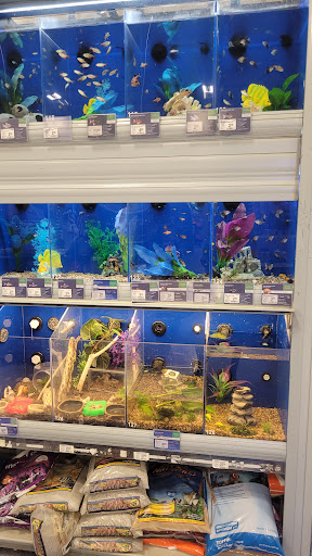 Pet Supply Store «PetSmart», reviews and photos, 1110 Hospitality Dr, Rock Hill, SC 29730, USA