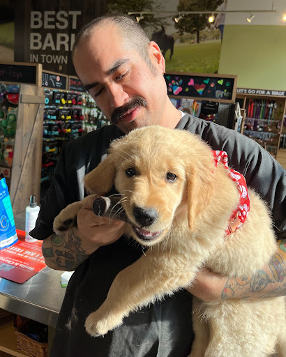 Pet Supply Store «Mutts & Co. Upper Arlington», reviews and photos, 1545 W Lane Ave, Upper Arlington, OH 43212, USA