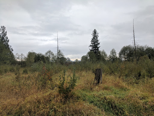 Golf Course «The Blue Heron Golf Course», reviews and photos, 1810 W Snoqualmie River Rd, Carnation, WA 98014, USA